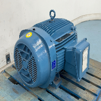 Weg Inverter Duty Motor image 0